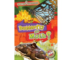 Butterfly or Moth? - Christina Leaf