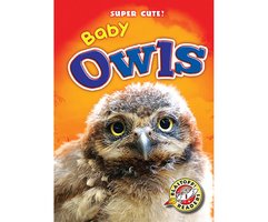 Baby Owls - Christina Leaf