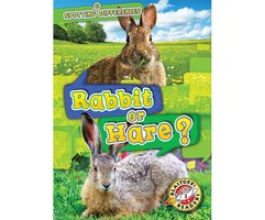 Rabbit or Hare? - Christina Leaf