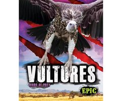 Vultures - Nathan Sommer