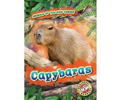 Capybaras - Rachel Grack