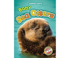 Baby Sea Otters - Christina Leaf