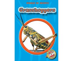 Grasshoppers - Emily K. Green