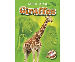 Giraffes - Kari Schuetz