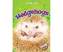 Baby Hedgehogs: Blastoff! Readers: Level 1 - Megan Borgert-Spaniol