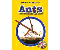 Ants - Emily K. Green