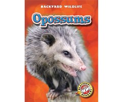 Opossums - Emily Green