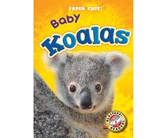Baby Koalas: Blastoff! Readers: Level 1 - Megan Borgert-Spaniol