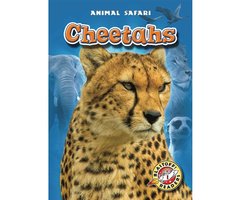 Cheetahs - Megan Borgert-Spaniol