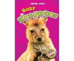 Baby Kangaroos: Blastoff! Readers: Level 1 - Megan Borgert-Spaniol