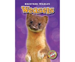 Weasels - Megan Borgert-Spaniol