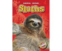 Sloths - Megan Borgert-Spaniol