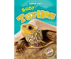 Baby Turtles: Blastoff! Readers: Level 1 - Megan Borgert-Spaniol