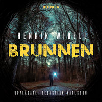 Brunnen - Henrik Widell