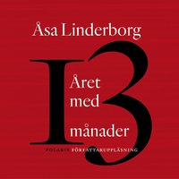 Året med 13 månader - Åsa Linderborg
