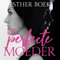 De perfecte moeder - Esther Boek