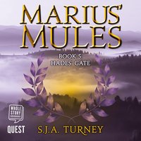 Marius' Mules V: Hades' Gate: Marius' Mules Book 5 - S. J. A. Turney