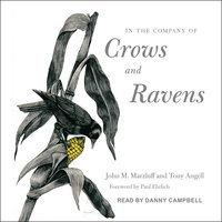 In the Company of Crows and Ravens - John M. Marzluff, Tony Angell