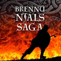 Brennu-Njáls saga - Ókunnur
