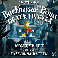 Balthasar Bruns detektivbyrå: Mysteriet med den försvunna katten - I. V. Steinman