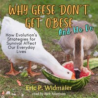 Why Geese Don't Get Obese (And We Do) - Eric Widmaier
