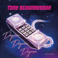 Dagarna, dagarna, dagarna - Tone Schunnesson