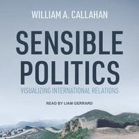 Sensible Politics: Visualizing International Relations - William A. Callahan