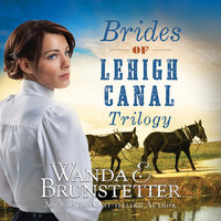 Brides of Lehigh Canal Trilogy - Wanda E Brunstetter
