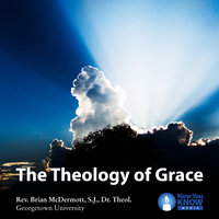 The Theology of Grace - Brian McDermott