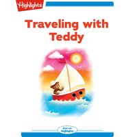 Traveling with Teddy - Heidi Bee Roemer