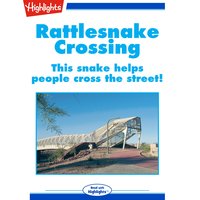 Rattlesnake Crossing: This snake helps people cross the street! - Rene Allen