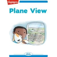 Plane View - Heather Tekavec