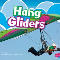 Hang Gliders - Mari Schuh
