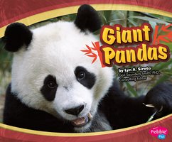 Giant Pandas - Lyn Sirota