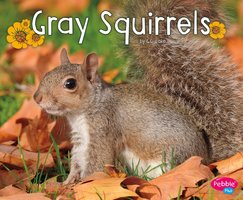Gray Squirrels - G.G. Lake