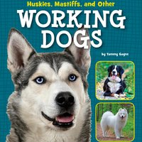 Huskies, Mastiffs, and Other Working Dogs - Tammy Gagne