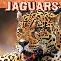 Jaguars - Tammy Gagne