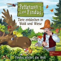 Findus erklärt die Welt: Tiere entdecken in Wald und Wiese - Angela Strunck