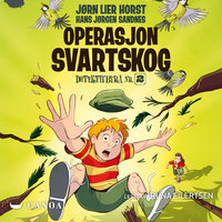 Operasjon Svartskog - Jørn Lier Horst