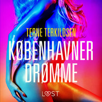 Københavnerdrømme - erotisk novelle - Terne Terkildsen
