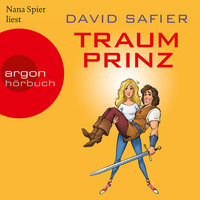 Traumprinz - David Safier