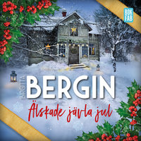 Älskade jävla jul - Birgitta Bergin