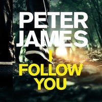 I Follow You - Peter James