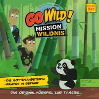 Folge 30: Die Gottesanbeterin / Pandas in Gefahr (Das Original-Hörspiel zur TV-Serie) - Thomas Karallus
