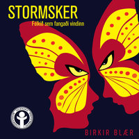 Stormsker - Birkir Blær Ingólfsson
