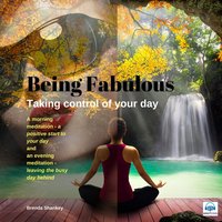 Being Fabulous - 3 of 3 Taking Control of your Day - Brenda Shankey
