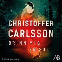 Brinn mig en sol - Christoffer Carlsson