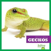 Geckos - Vanessa Black