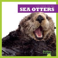 Sea Otters - Mari Schuh