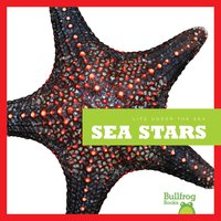 Sea Stars - Cari Meister